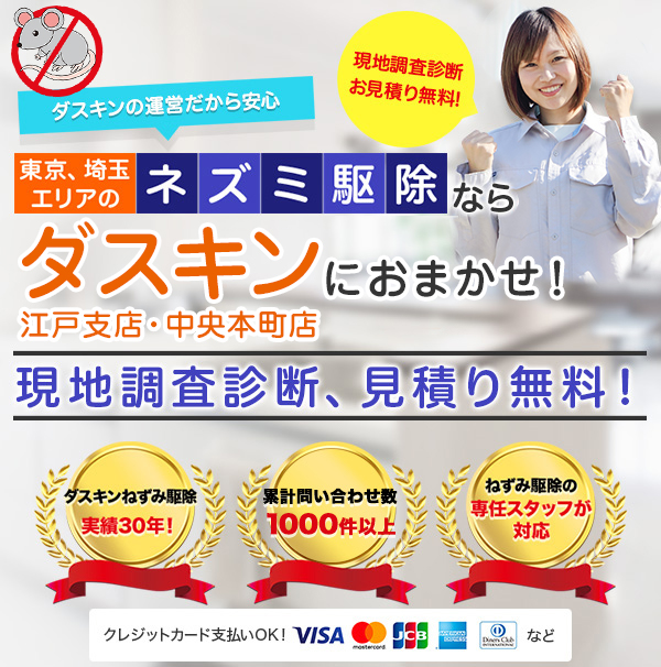 東京、埼玉エリアのネズミ駆除ならダスキン江戸支店、ダスキン中央本町店におまかせ。現地調査診断、見積り無料！